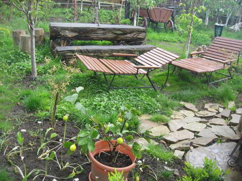 Leaganul Bucovinei Guest House Сучеава Екстериор снимка